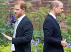 princ Harry, princ William