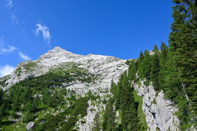 Pogled s Falzalmsteiga proti Waztmannu | Foto: Matej Podgoršek