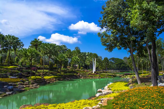 nong nooch | Foto: Thinkstock