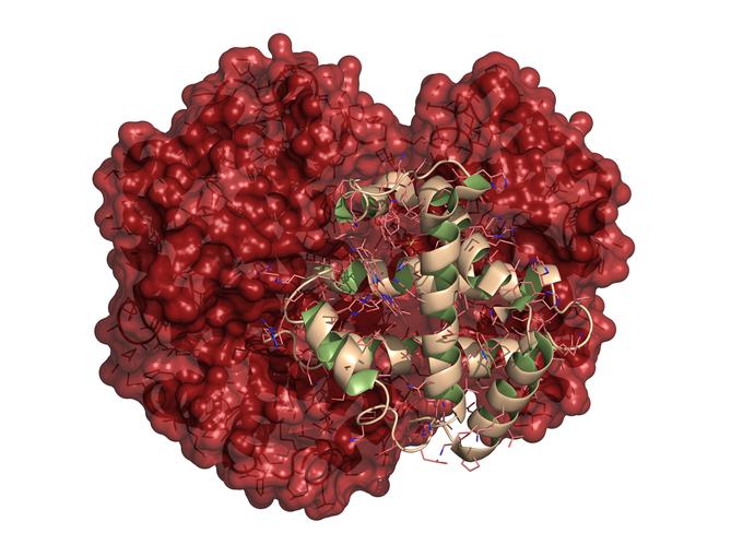 Hemoglobin | Foto: Getty Images