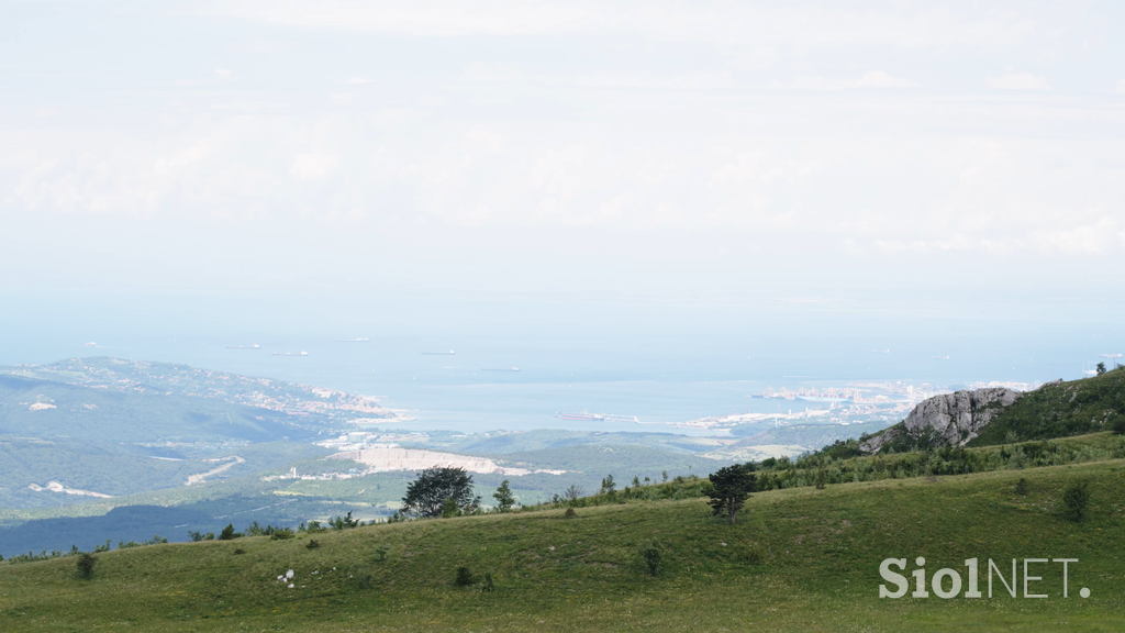 Slavnik, oskrbnik