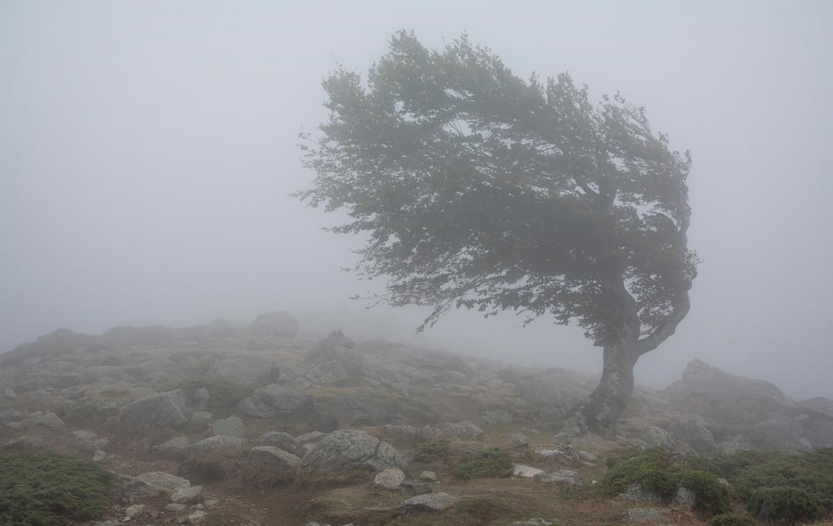 Neurje, veter, nevihta | Sunke do 100 kilometrov na uro so izmerili tudi  na Ratitovcu, Uršlji gori in na Krvavcu. | Foto Shutterstock