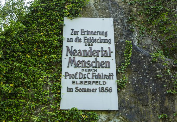 Spominska plošča na kraju najdbe v čast Fuhlrottu, ki je prvi spoznal, da so najdene kosti v jami v dolini Neandertal izjemno odkritje. Kosti neandertalca so dobile ime Neandertal 1. Dejansko so kosti pripadale vsaj trem neandertalcem. Apnenčasta kraška jama, v kateri so našli kosti, je bila široka in visoka okoli tri metre, v dolžino pa je merila pet metrov. Vhod v jamo je imel premer enega metra in je bil 20 metrov nad tlemi doline. Jama se je v nemščini imenovala Kleine Feldhofer Grotte oziroma Majhna Feldhoferjeva jama po slovensko. Ime je dobila po bližnji veliki kmetiji Feldhof.  | Foto: Guliverimage/Vladimir Fedorenko