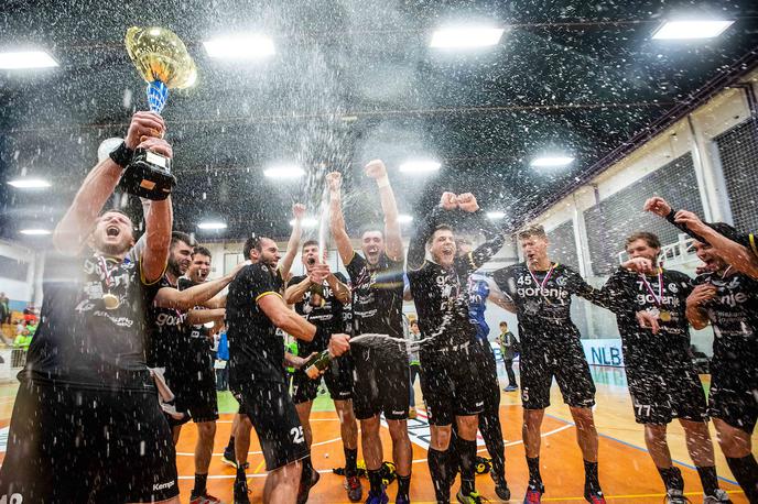 Pokal Slovenije: Gorenje - Krka | Gorenje je po letu 2003 znova osvojilo pokalno tekmovanje.  | Foto Grega Valančič/Sportida