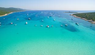 Na eno najlepših hrvaških plaž naplavilo več poginulih morskih želv