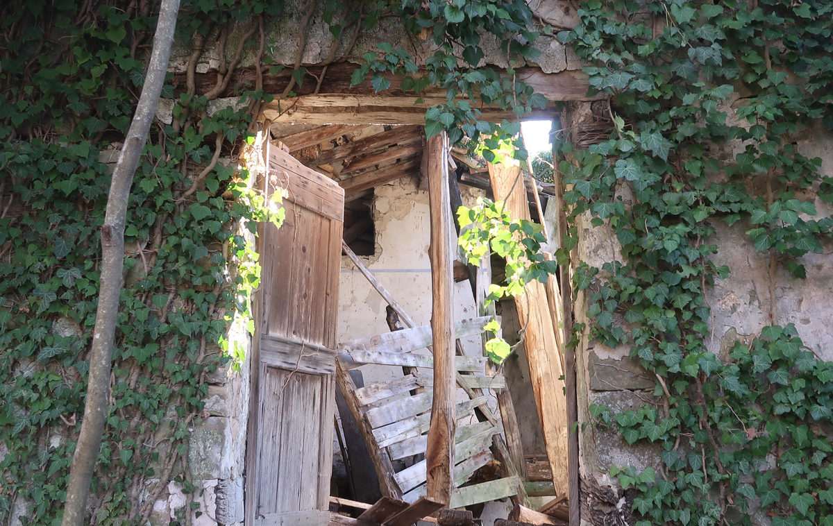 Slapnik, Goriška brda | Foto STA