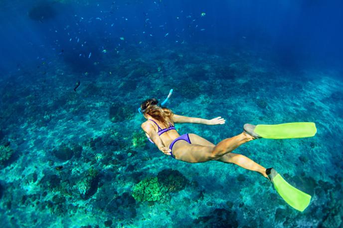 snorklanje | Bližnje srečanje z orkama je na potapljače naredilo velik vtis. | Foto Getty Images