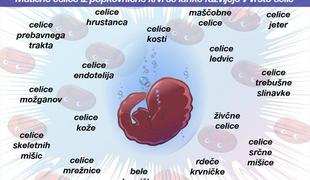 Vedno več staršev se odloča za shranitev matičnih celic