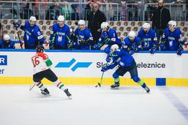 SP v hokeju (Ljubljana): Slovenija - Madžarska