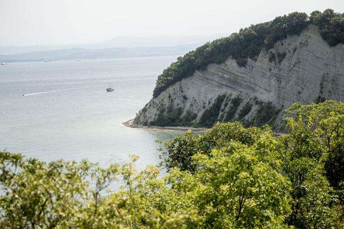 Strunjan morje obala soline | Foto: Ana Kovač