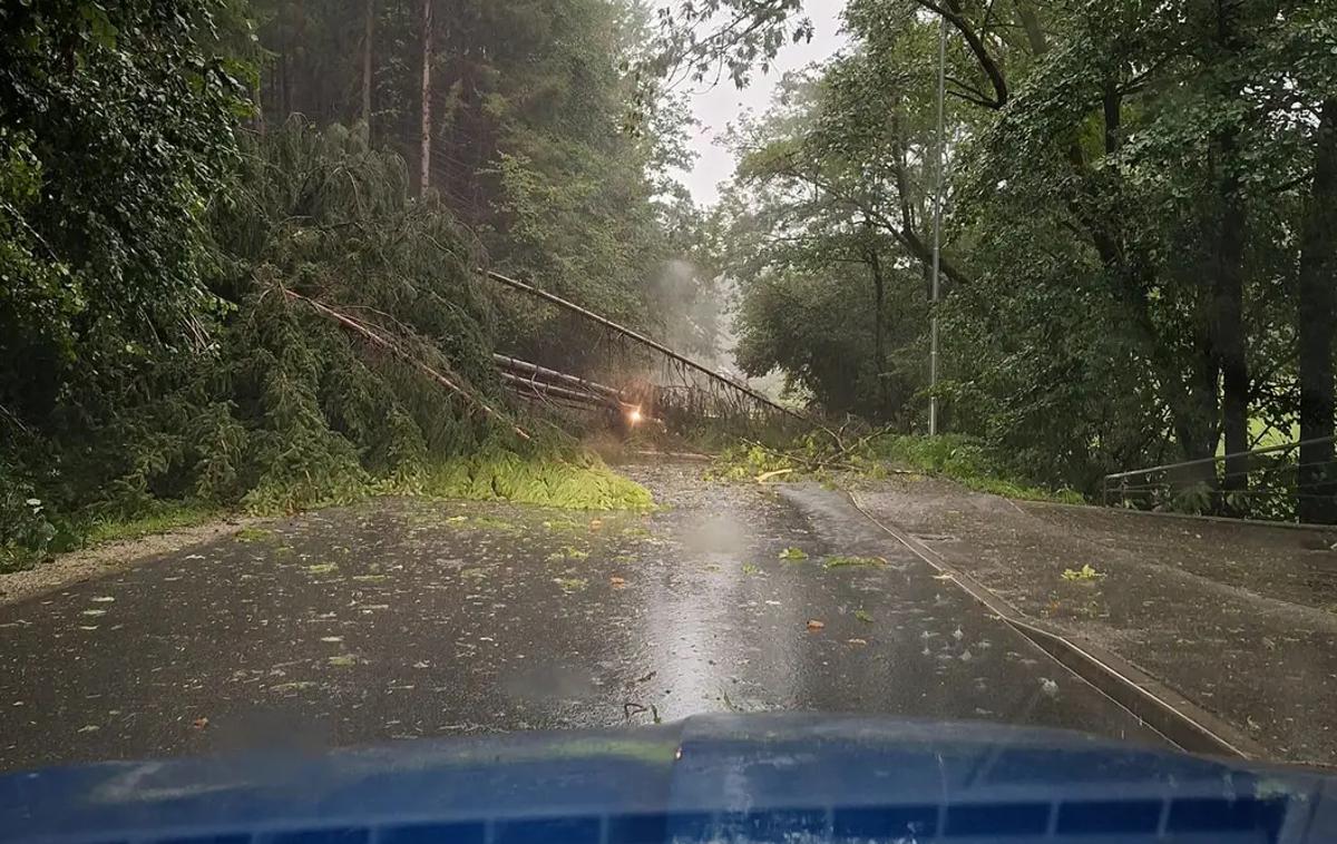 Vetrolom | Fotografija prikazuje enega od preteklih vetrolomov v Sloveniji.  | Foto Žiga Bačnar / Meteoinfo Slovenija