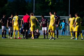 NK Triglav, NK Domžale, prva liga Telekom Slovenije