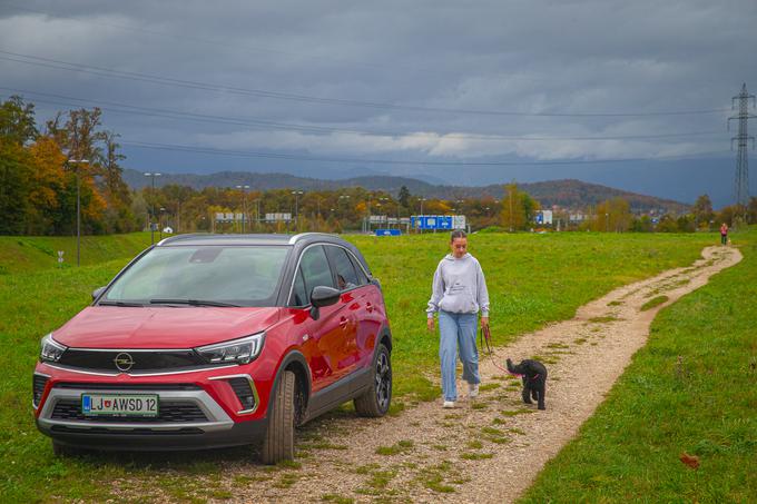 Opel | Foto: Žiga Krančan