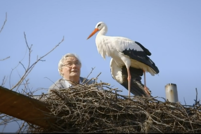 štorklja Malena | Foto zajem zaslona