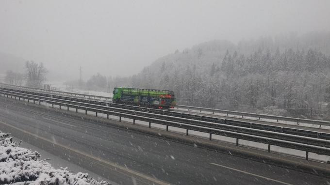 trebnje | Foto: Alenka Teran Košir