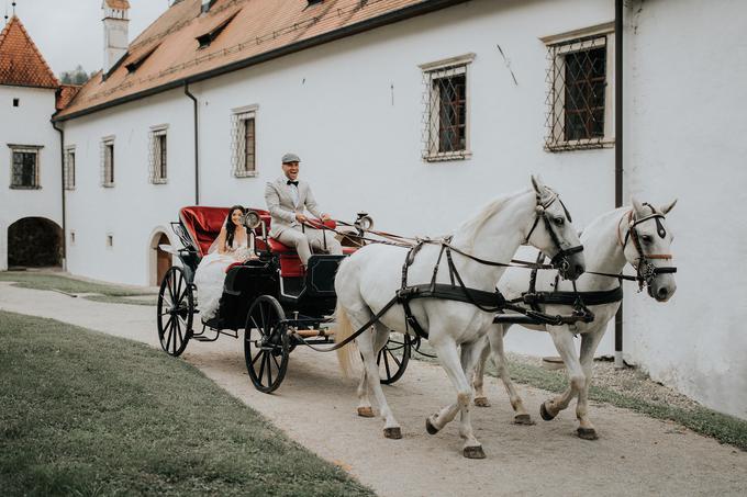 kračun | Foto: 