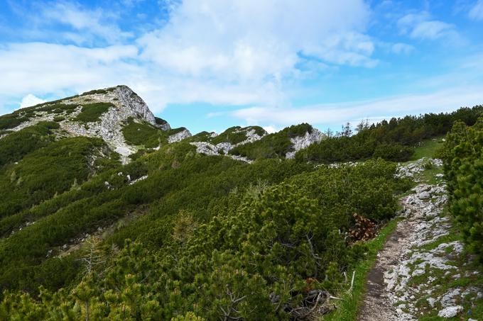 Zadnji del ture po grebenu do Velike Raduhe. | Foto: Matej Podgoršek