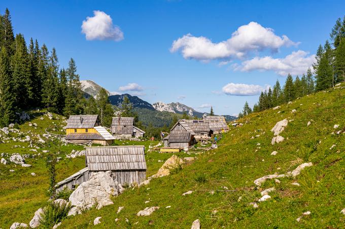 Uskovnica | Foto: Shutterstock