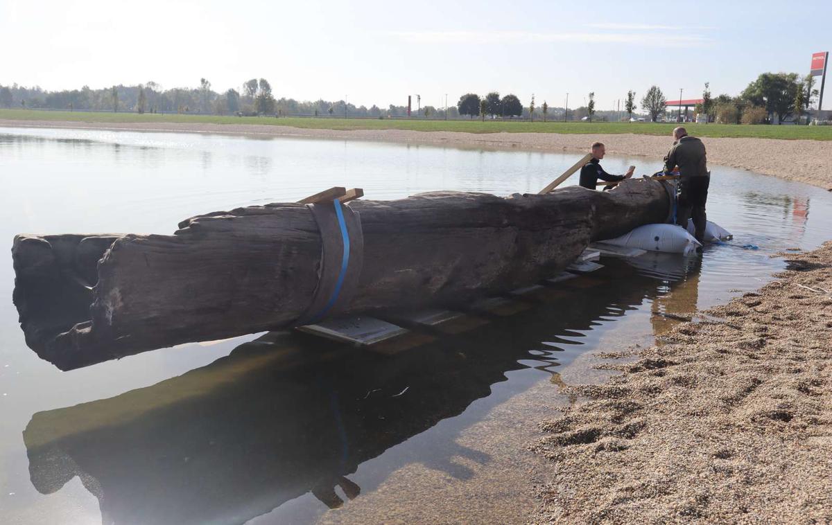 deblak, Soboško jezero | Že na dan, ko so deblak pripeljali na Soboško jezero, in tudi danes je čoln privabil številne obiskovalce, ki so ga prišli pogledat.  | Foto STA