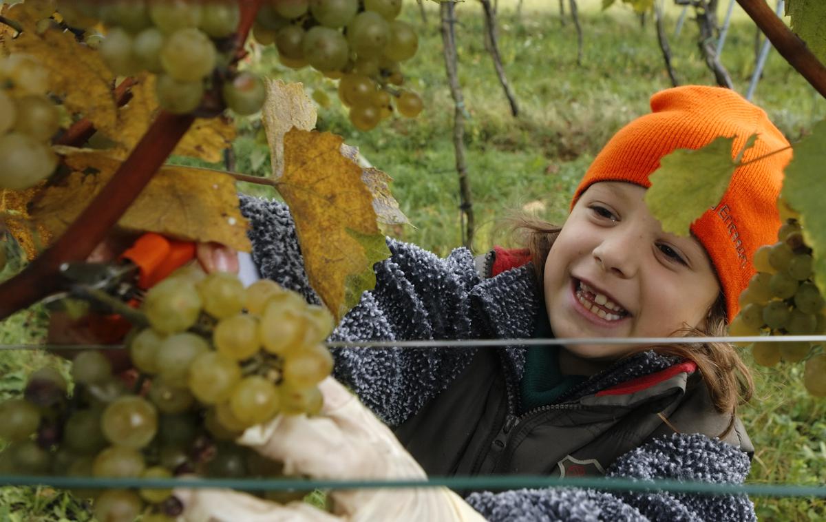 otrok in vino