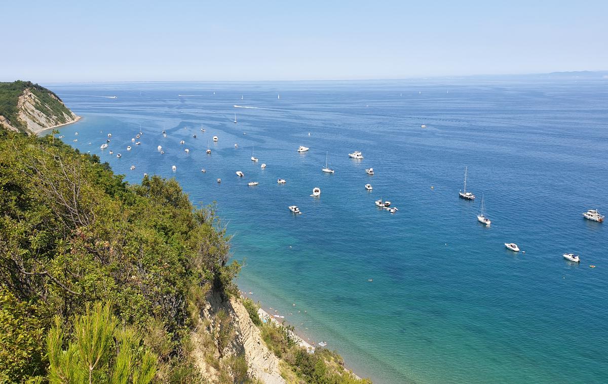 Belvedere plaža obala morje | Sidranje je dovoljeno povsod, kjer ni prepovedano, to pa je tam, kjer je uprava to pred tremi leti označila s posebnimi plovki. Zasidrajo se lahko na razdalji 150 metrov od obale. | Foto Metka Prezelj