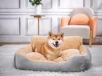 shiba inu, pes