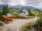 Velika planina