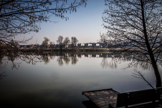 Povezanost bivanja z naravo v tem delu Ljubljane ob drugih površinah, kot so bližina gozdov Rožnika in Šišenskega hriba, predstavlja tudi Koseški bajer.  | Foto: Vid Ponikvar