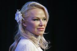 Pamela Anderson proti zbiranju denarja za Notre-Dame: Kaj pa otroci? #video