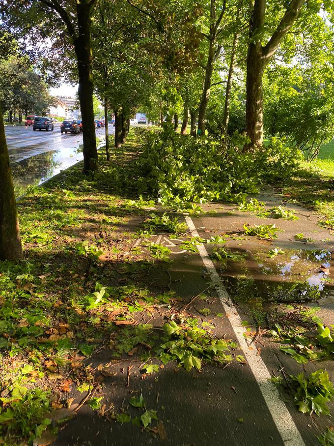 Neurje Ljubljana | Foto: Bralec Omar Hanuna