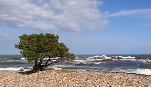 Na Sardiniji zaradi spominkov s plaže ovadili turiste