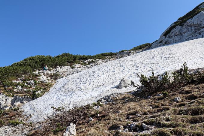 Pod Velikim vrhom je še nekaj snežišč, a se jih da obiti. | Foto: Matej Podgoršek