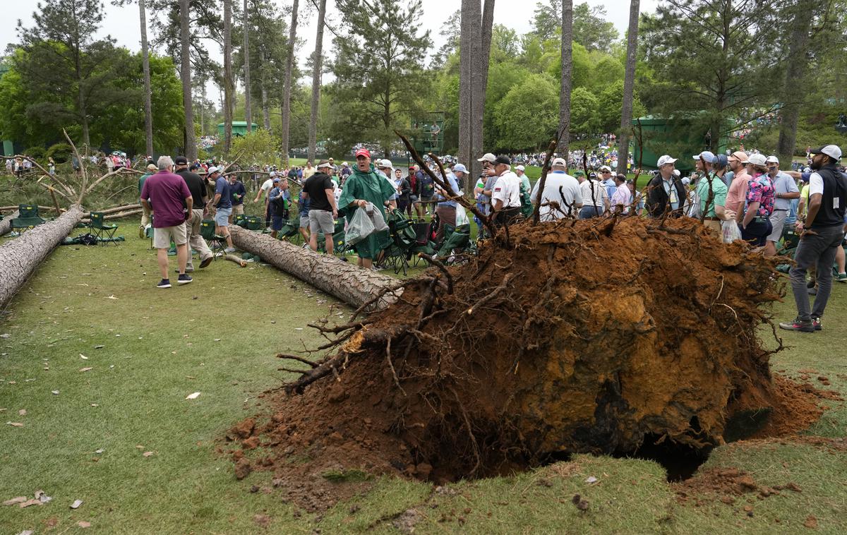 golf Augusta drevesa | Foto Guliver Image