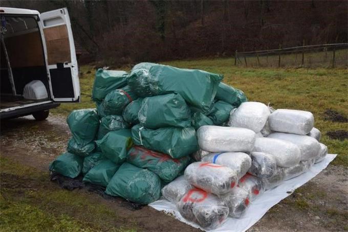 Zasežena marihuana hrvaške policije. | Foto: MUP RH