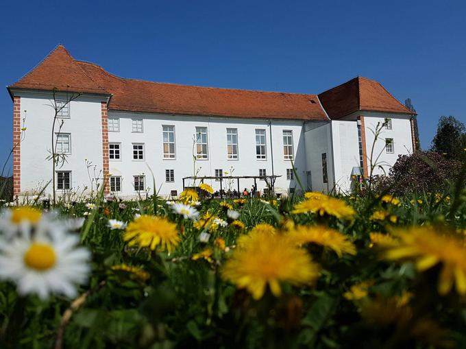 Dopoldne bo v Murski Soboti tudi osrednja regijska slovesnost, ki jo pripravljata Prekmursko društvo general Maister in soboška mestna občina. | Foto: 