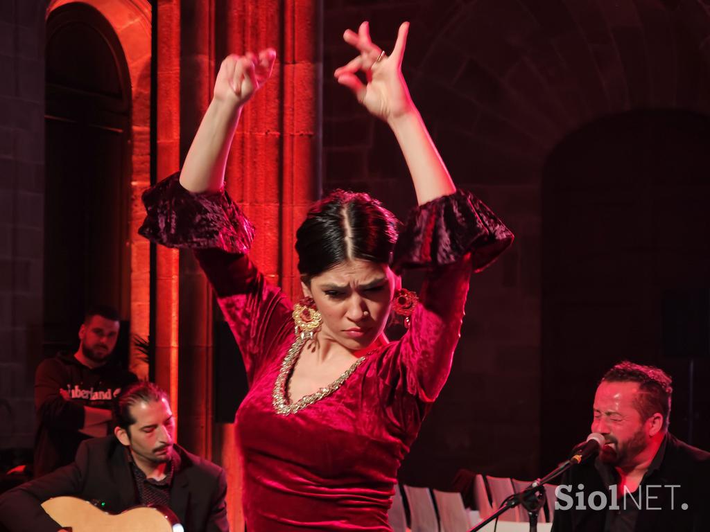 Flamenco, MWC25, Xiaomi 15 Ultra