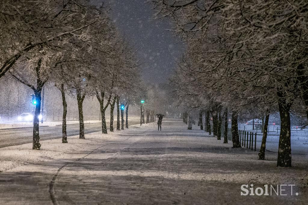 Sneg v Ljubljani