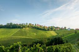 Vinograd s pogledom na Slovenijo razglasili za enega najlepših na svetu #video