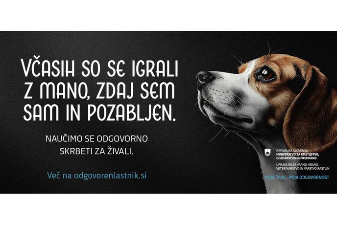 Žival ni darilo, ampak odgovornost