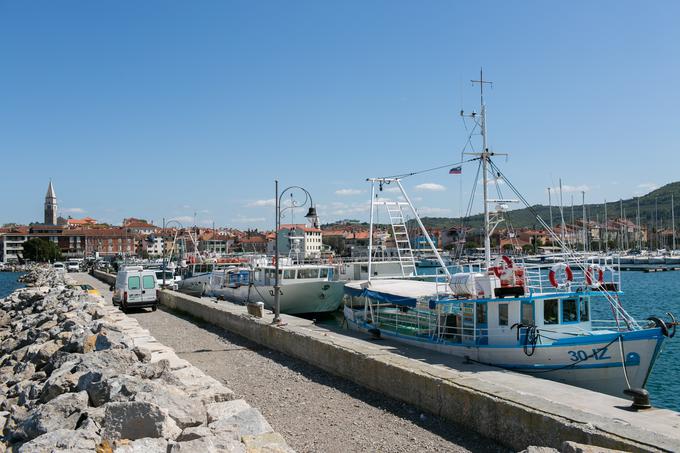 Izola ribiški pomol | Foto: Klemen Korenjak