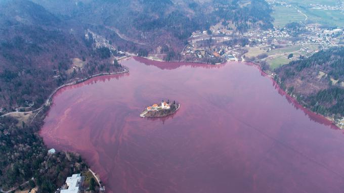 Zaradi alg je jezero spremenilo barvo. | Foto: Jani Kolman