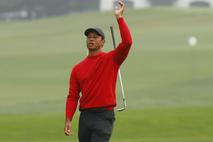 Tiger woods