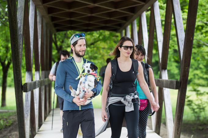 pohod pot ob žici 2019 | Foto: Peter Podobnik/Sportida