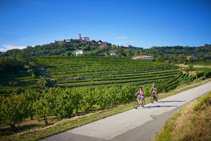 Kolesarski ambasadorji bodo spoznavali tudi Goriška brda, s poniji pa bodo "grizli" tudi na Vršič. | Foto: Tomo Jeseničnik (Slovenia.info)