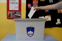 Kaj morate vedeti o nedeljskem družinskem referendumu?