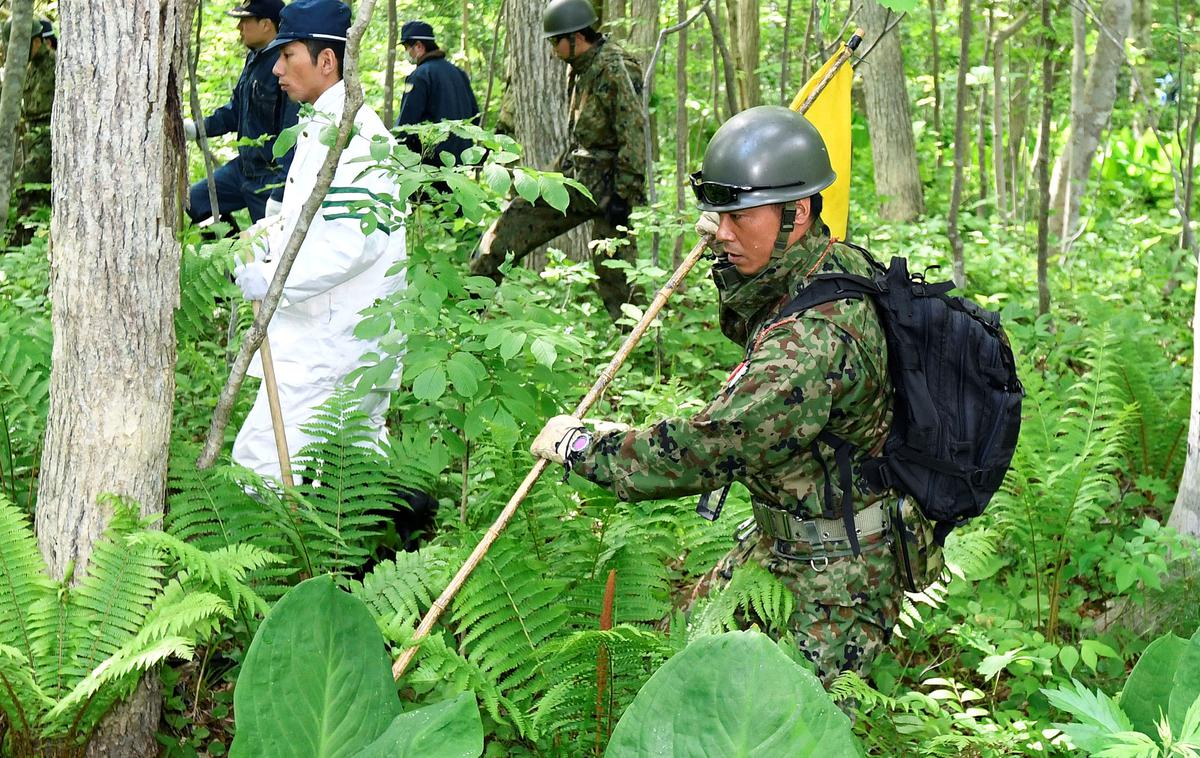 iskanje, japonska, gozd | Foto Reuters