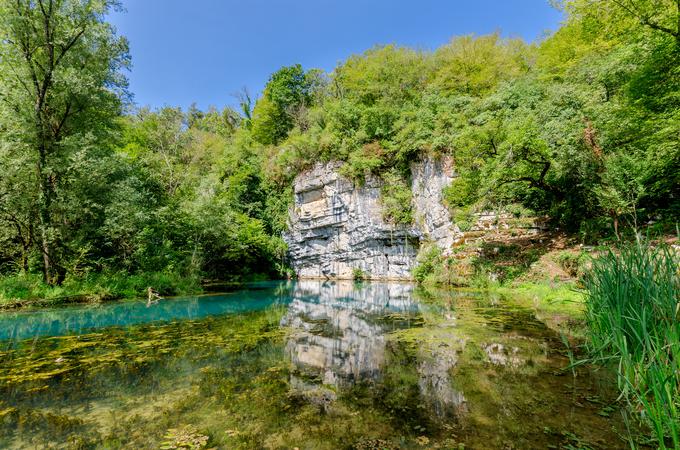 izvir reke Krupe, Bela Krajina | Foto: Shutterstock