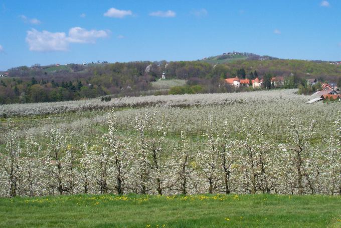 Biotehniška fakulteta | Foto: Biotehniška fakulteta