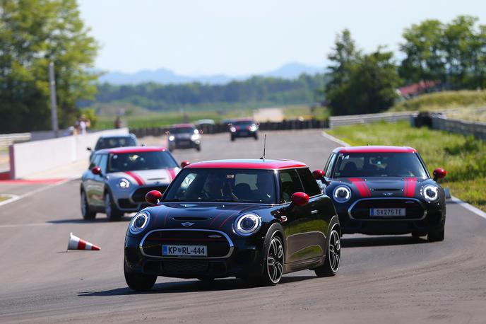 Mini Gaj | Foto Gregor Pavšič