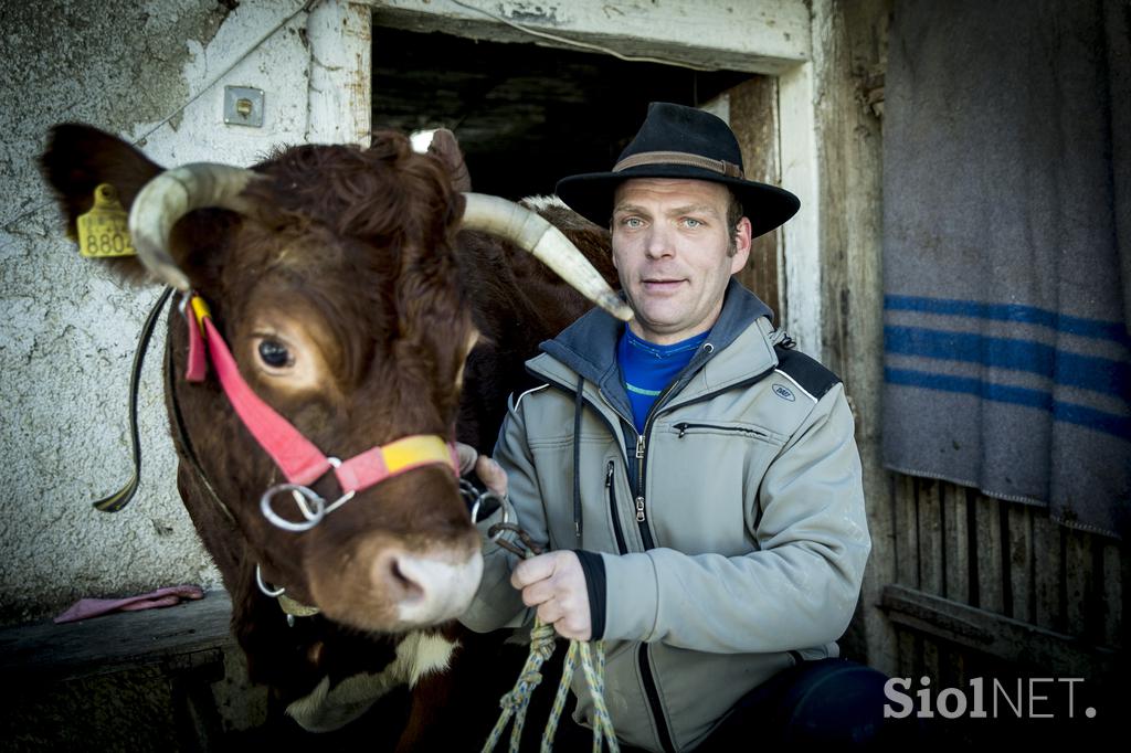 Kmetija Smolej Miha Planina pod Golico